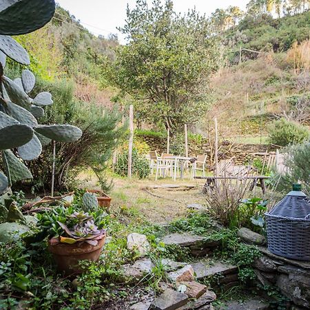 Il Limoneto Dei Cinque Sensi,Apartment With Garden Vernazza Kültér fotó