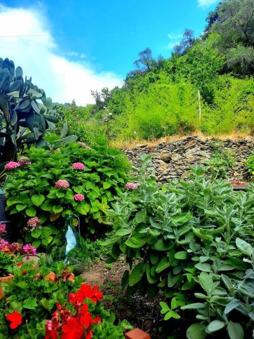 Il Limoneto Dei Cinque Sensi,Apartment With Garden Vernazza Kültér fotó