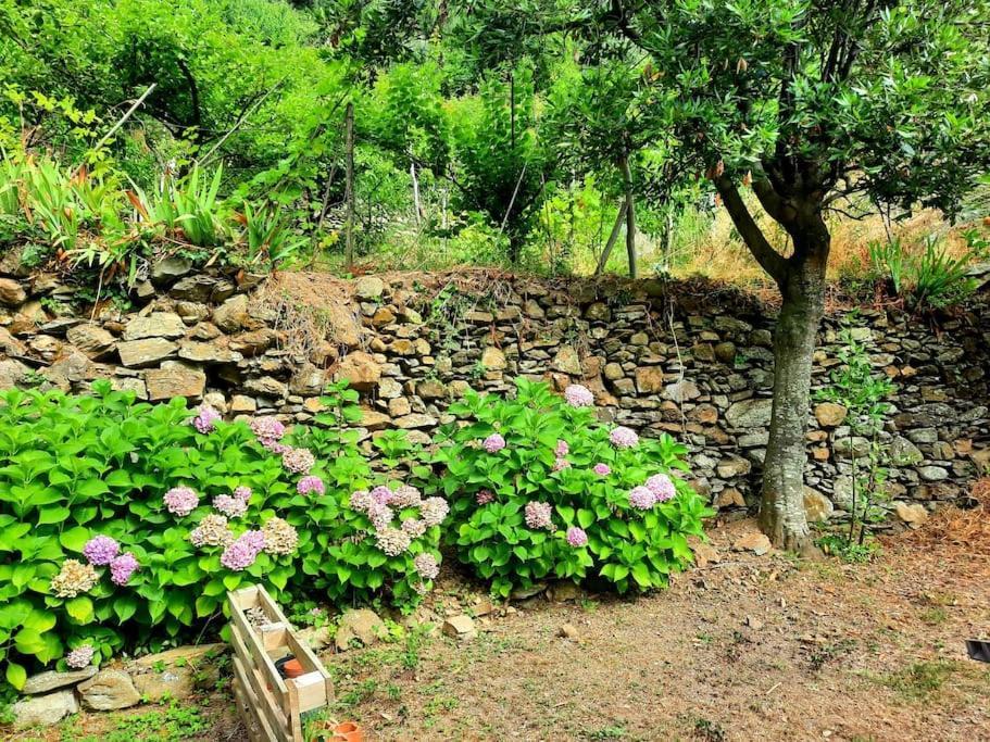 Il Limoneto Dei Cinque Sensi,Apartment With Garden Vernazza Kültér fotó