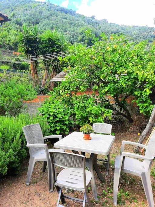 Il Limoneto Dei Cinque Sensi,Apartment With Garden Vernazza Kültér fotó